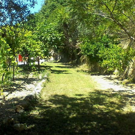 The Country Path B&B Toffia Exterior foto