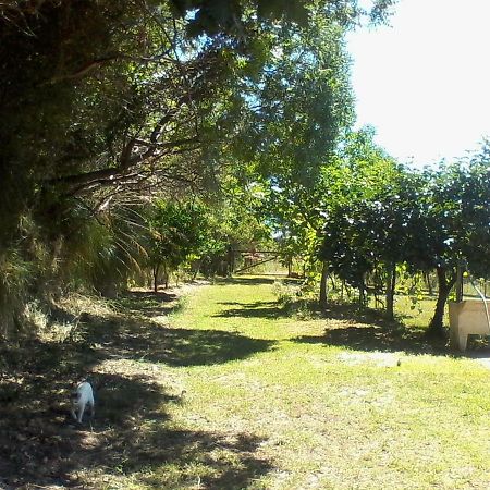 The Country Path B&B Toffia Exterior foto