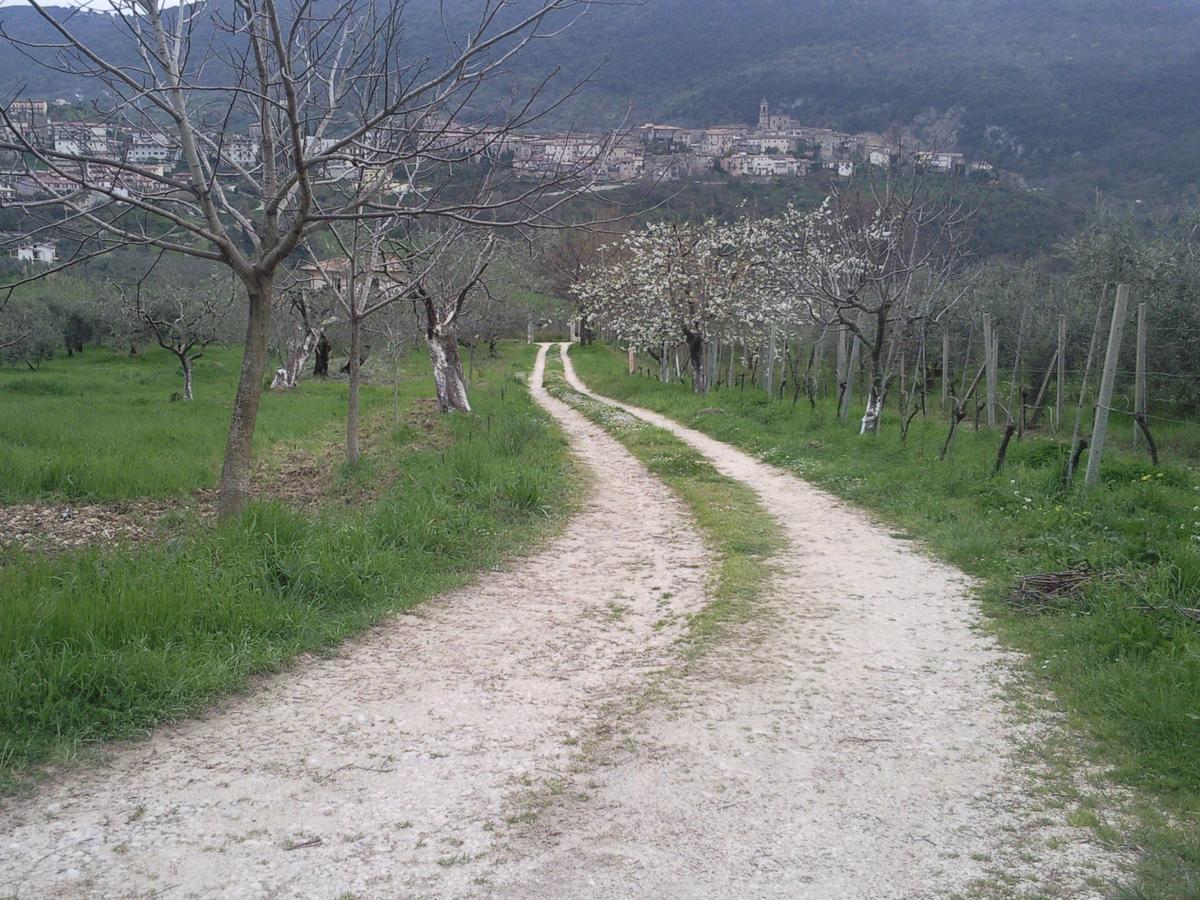 The Country Path B&B Toffia Exterior foto